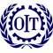 1183536136_oit[1]_small_square